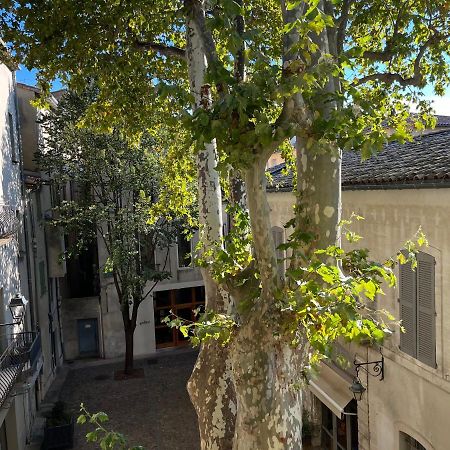 La Charmante Du Palais 2 Chambres Avignon Eksteriør bilde