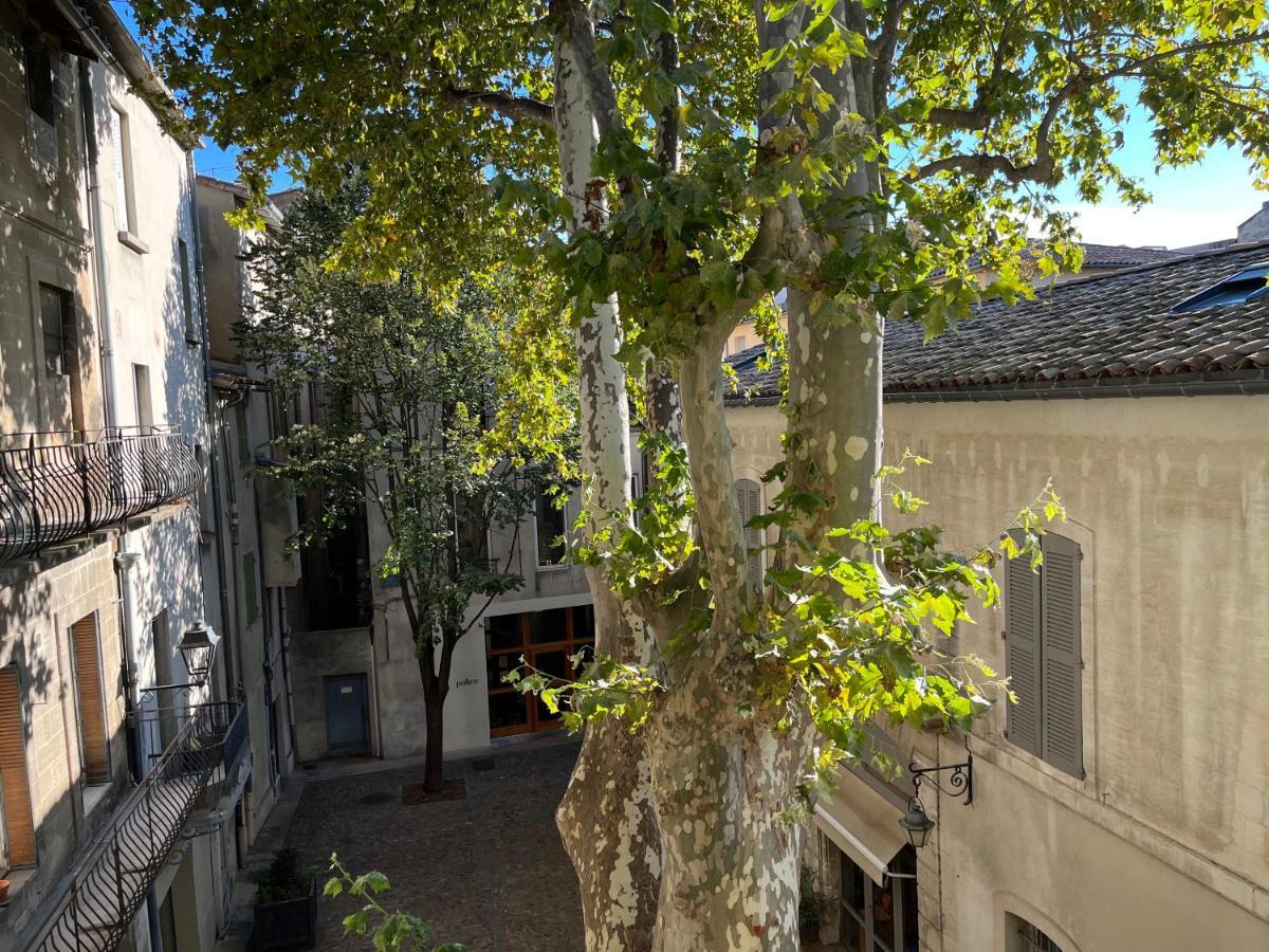 La Charmante Du Palais 2 Chambres Avignon Eksteriør bilde