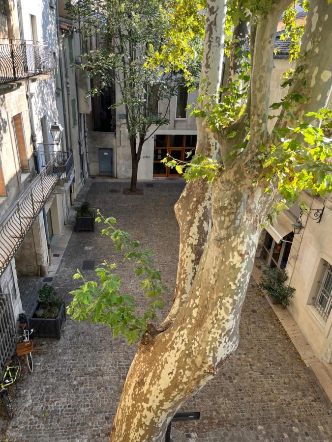 La Charmante Du Palais 2 Chambres Avignon Eksteriør bilde